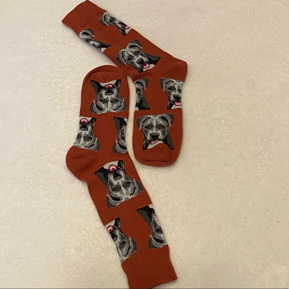 Varvara's Cottage tweet media