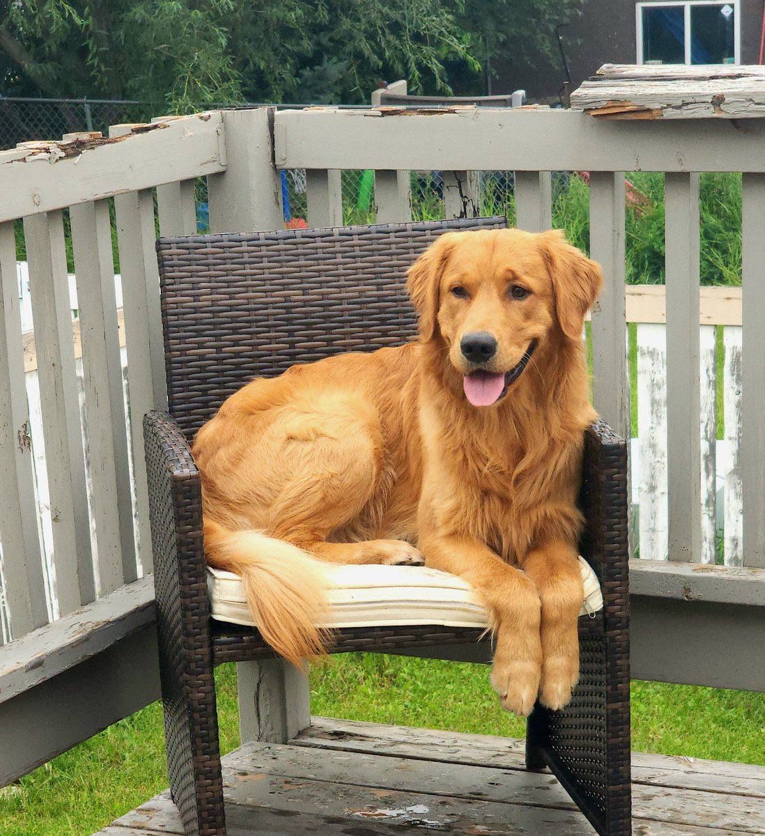 Ivae (@ivae_ed) on Twitter photo 