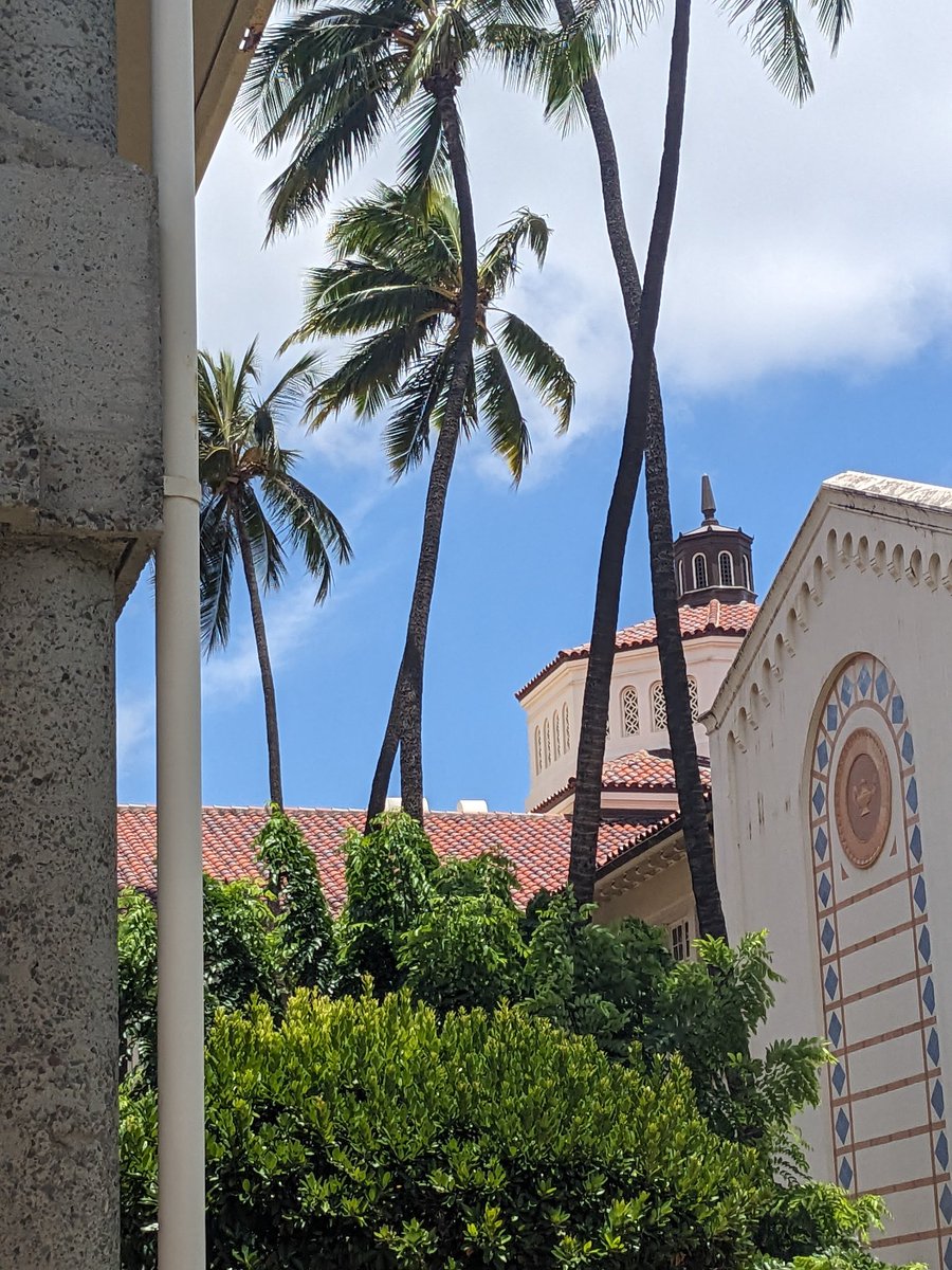 LBoydEDU's tweet image. I have spent this week with an absolutely tremendous group of AP English and Seminar teachers. The students of Hawaii are blessed! (Plus, I got to have lunch with beautiful chickens every day.) @HIDOE808 #APLitChat #APSemChat
