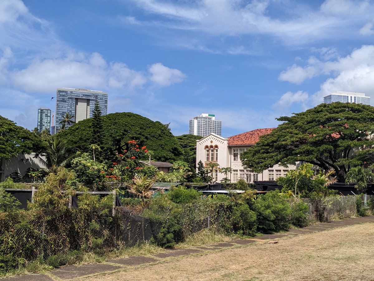 LBoydEDU's tweet image. I have spent this week with an absolutely tremendous group of AP English and Seminar teachers. The students of Hawaii are blessed! (Plus, I got to have lunch with beautiful chickens every day.) @HIDOE808 #APLitChat #APSemChat