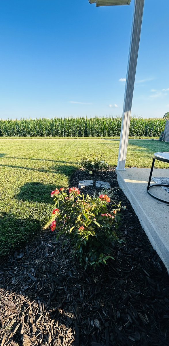 Still pretty dry here but the edges are looking tight!! Another league night in the books…the dog days are ahead, the true league members will power through the summer!!! <a href="/OutKickTNML/">ThursdayNightMowingLeague</a>