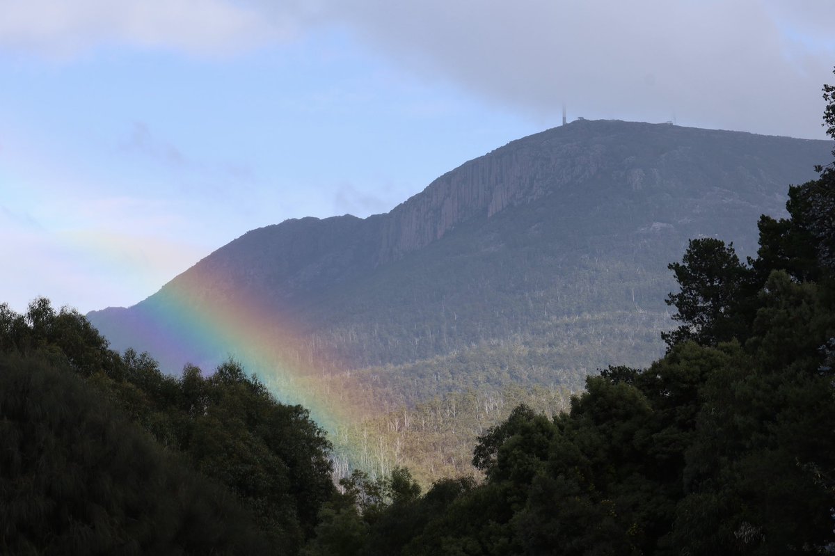 Loretta Lohberger tweet media