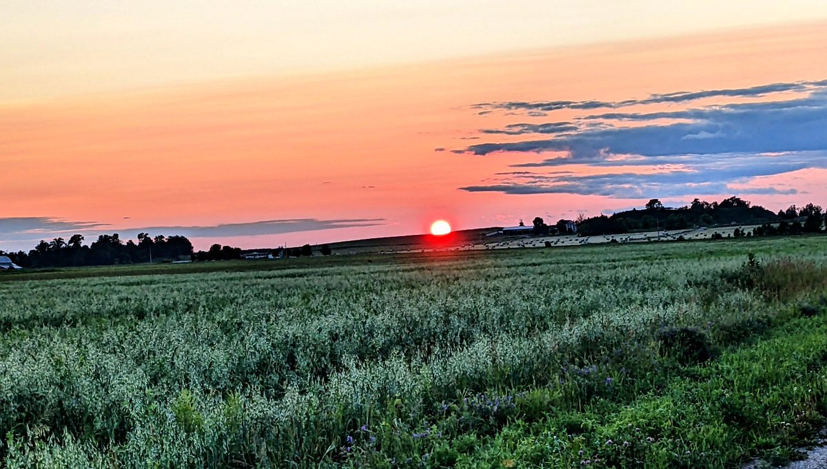 WendyAHewitt's tweet image. Sunsets are proof that no matter what happens during the day, every day can end beautifully. 
#NaturePhotography #CountryLine