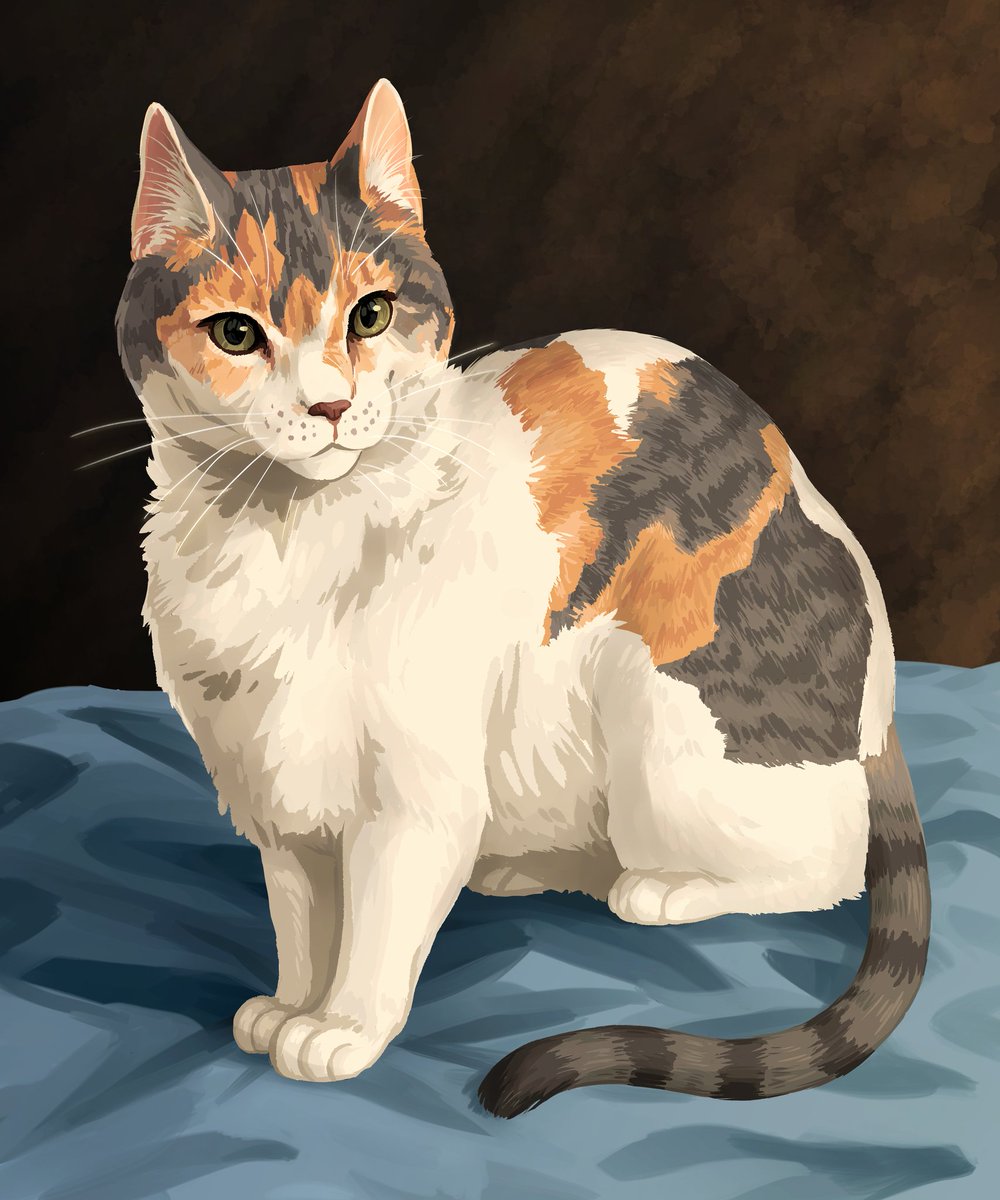 MakennaMadeThis's tweet photo. Kitty commission I did for a family member's graduation present

I'm thinking of formally opening pet portrait #commissions in this style if anyone is interested👀
#commissionsopen #ArtistOnTwitter #illustration #digitalpainting #cats #portrait #pets https://t.co/WSEFyyBwFf