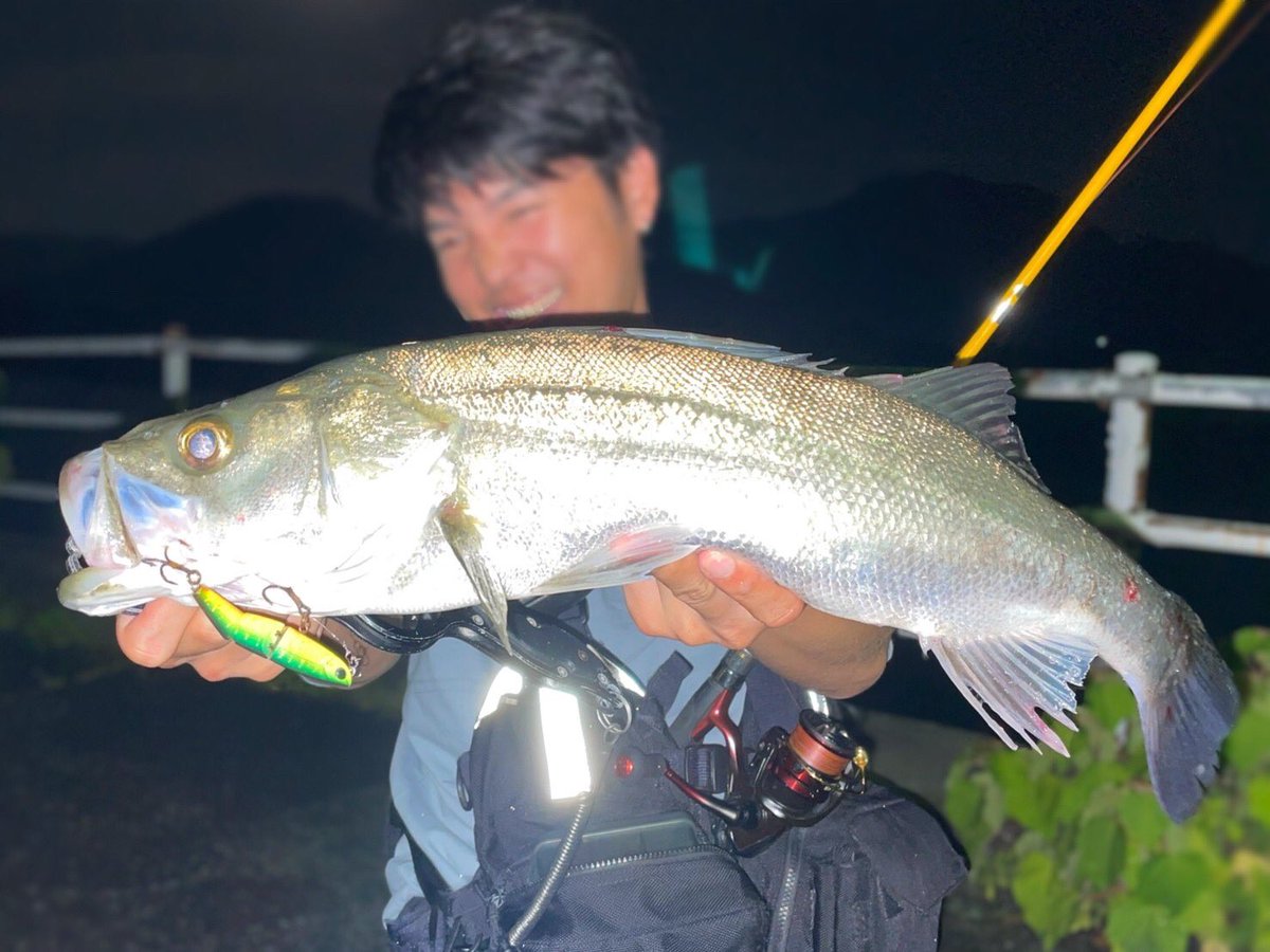 palms_global's tweet photo. Seabass with Curref in Japan 🇯🇵
Rod: Quattro 75ML (Travel rod)
Lure: Curref 70
#palmsfishing #seabass #seabassfishing #travelrod #packrod
@palms_japan https://t.co/O2Sro1dIsh
