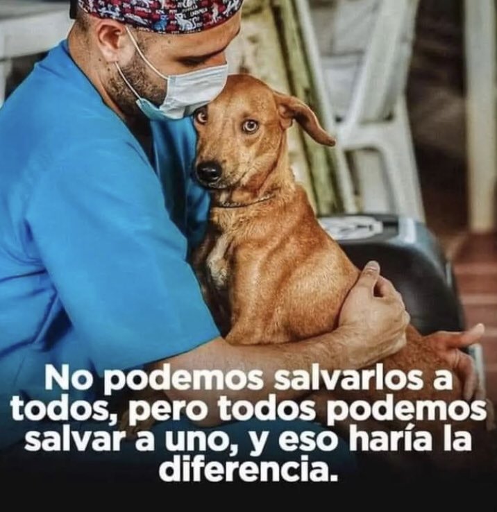 yarez4's tweet photo. #wilson 😭#wilsonheroenacional 
Wilson nunca te olvidaré 😭 https://t.co/IFpX82rstP