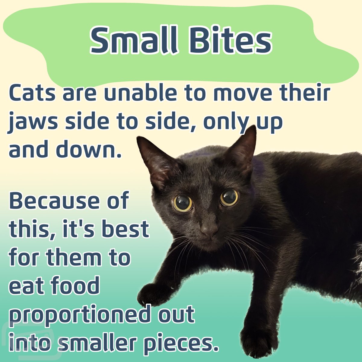 Lookout Lunch Box tweet media