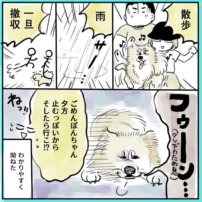 ～いぬにっき～ 天気アプリ毎日確認してもたまに雨が降ることがあるのだ…。