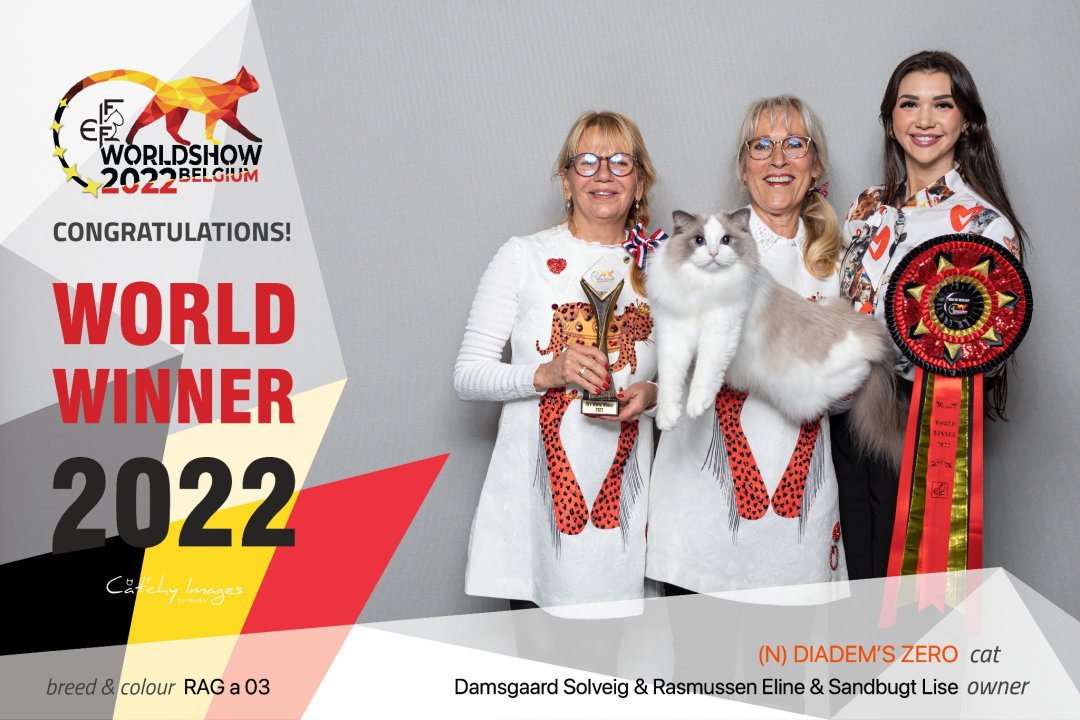 Bringing together purebred show cats from all over the world, the FIFe International Cat Show will be held this Sept. 9-10 at Poly World Trade Center Expo in Guangzhou, co-located with the 2023 Grandeur World Pet Fair.#petproduct #pet #petfood #petshop #pets #petstore #petproduct