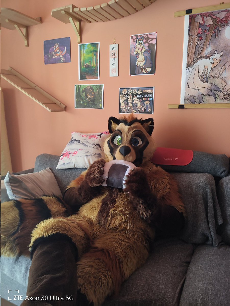 HarukiTanuki's tweet photo. Happy #FursuitFriday  

It's Snack and movie time :3

Suit by @Komickrazi https://t.co/ezNPyHdGxe