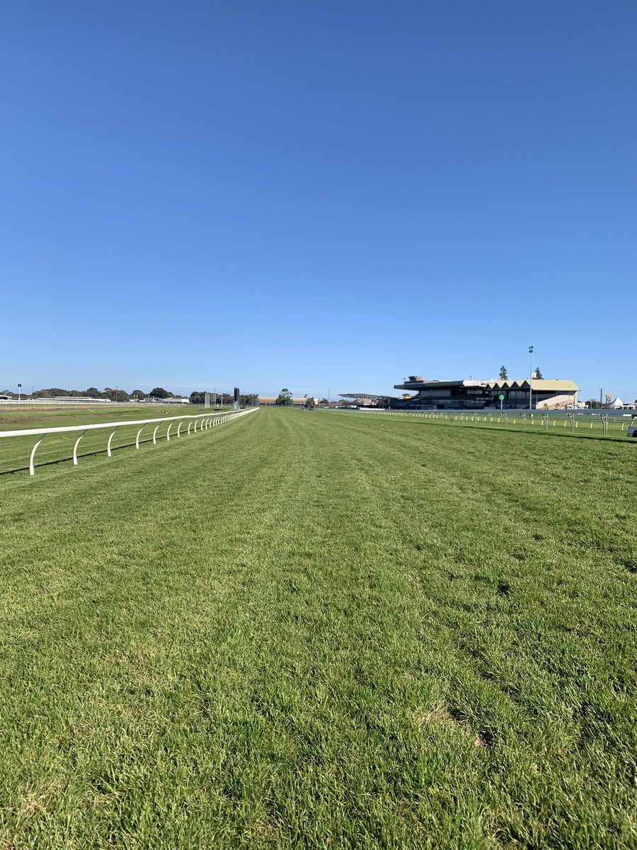 RSAStewards's tweet photo. Track Update - Morphettville Parks 15/07/23 - Stewards inspected the track at 12:15pm today and rated it a Soft 5. https://t.co/LjGUfxpHsd