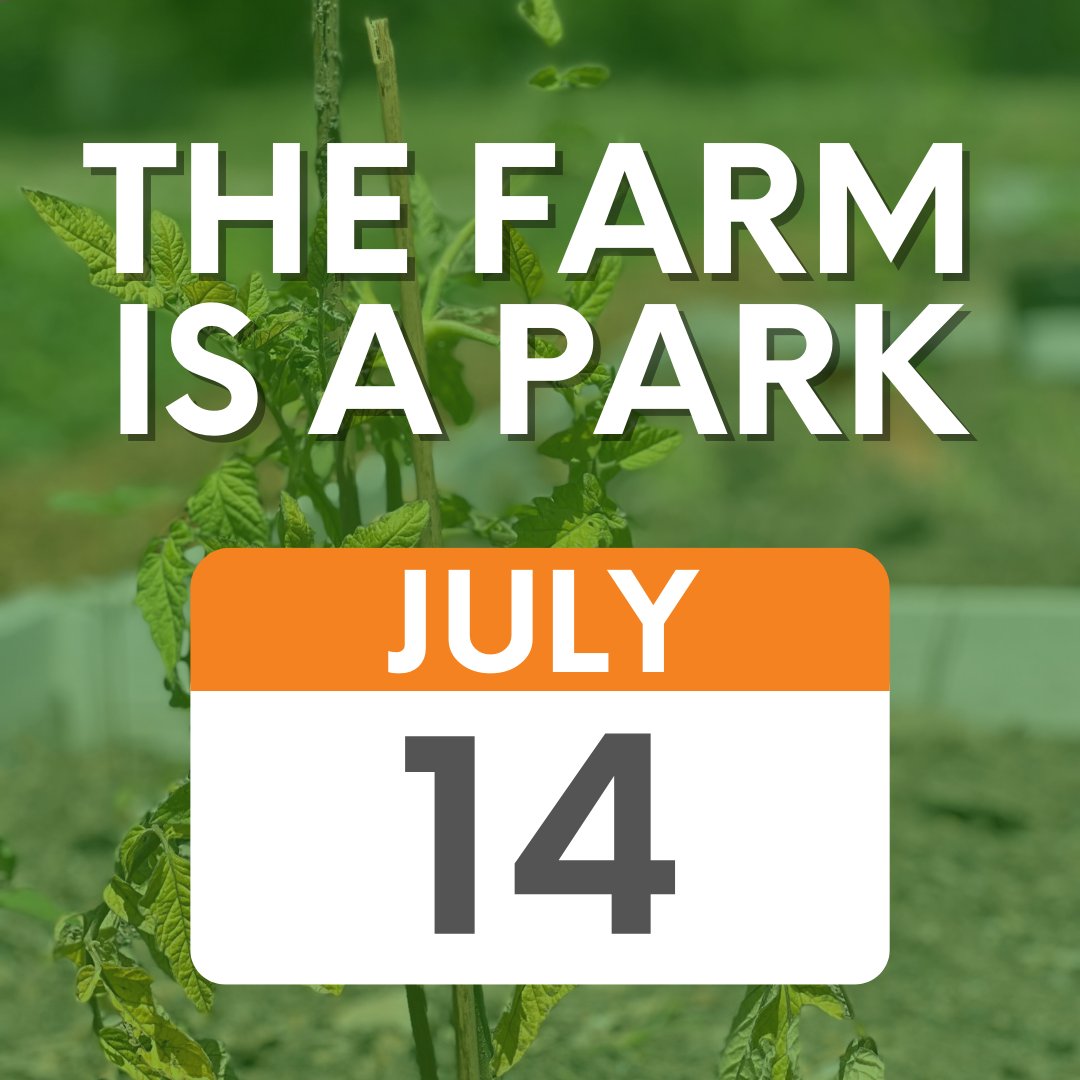 Food Literacy Center tweet media