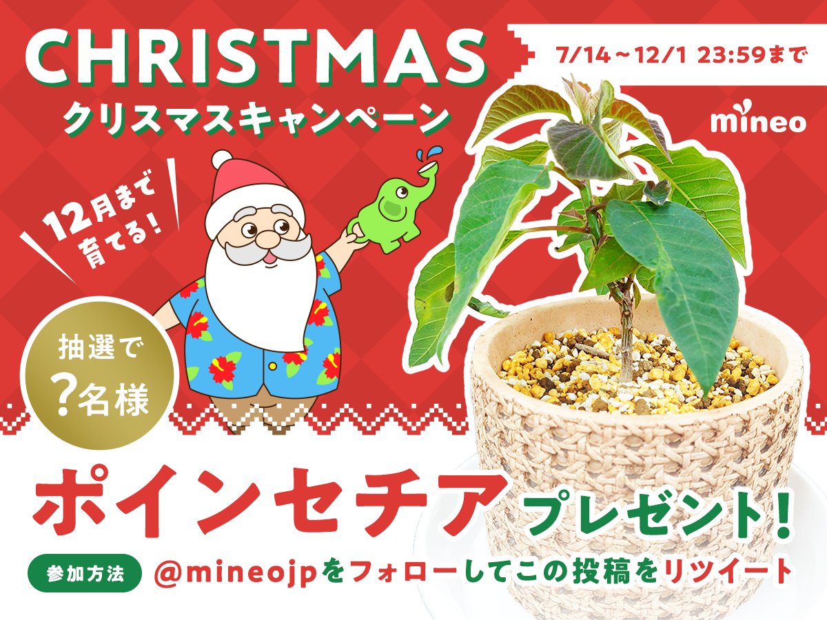 ／
クリスマスプレゼントキャンペーン🎁
中の人が毎日水やりします🌱
（枯れたらごめんなさい...）
＼

📢応募はカンタン
①アカウントをフォロー 
<a href="/mineojp/">mineo【公式】</a>

②この投稿をリツイート
📢賞品
【中の人が育てたポインセチア】× ？名様

📅応募期限
7月14日(金) ~12月1日(金)