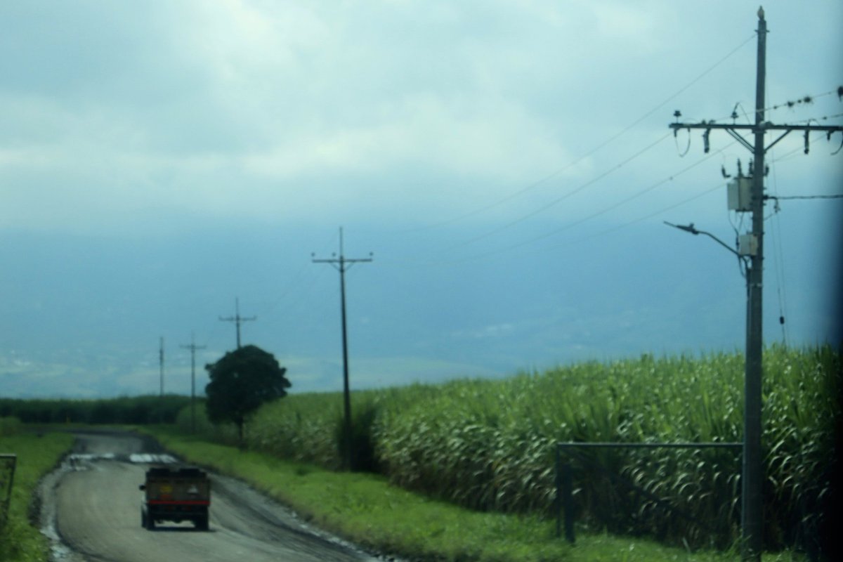 pipeafbc's tweet image. #Fotografía