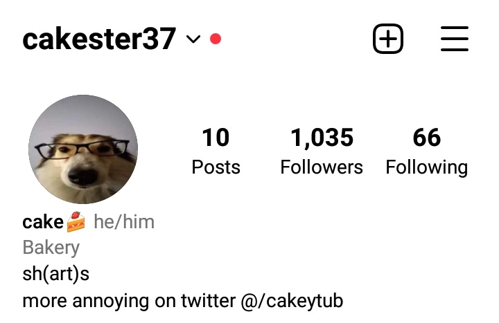putting out this here 😔 i also have tiktok and a tumblr blog that has no posts (yet) with the same user as my handle