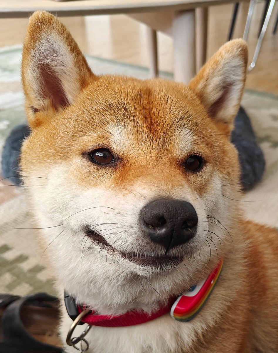 Rasmus Wätjen tweet media