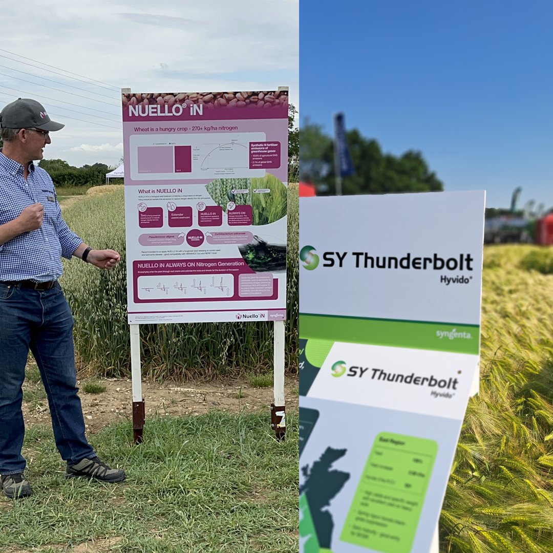 SyngentaUK's tweet photo. The annual tour of our #Kilham site takes place on July 6th! Hear from our experts about a step change in disease control, Nitrogen Use Efficiency with biostimulants & our new biological seed treatment, Nuello iN! 🤩 🌱 #OpenDay #Innovation https://t.co/bIOLhQB4gC