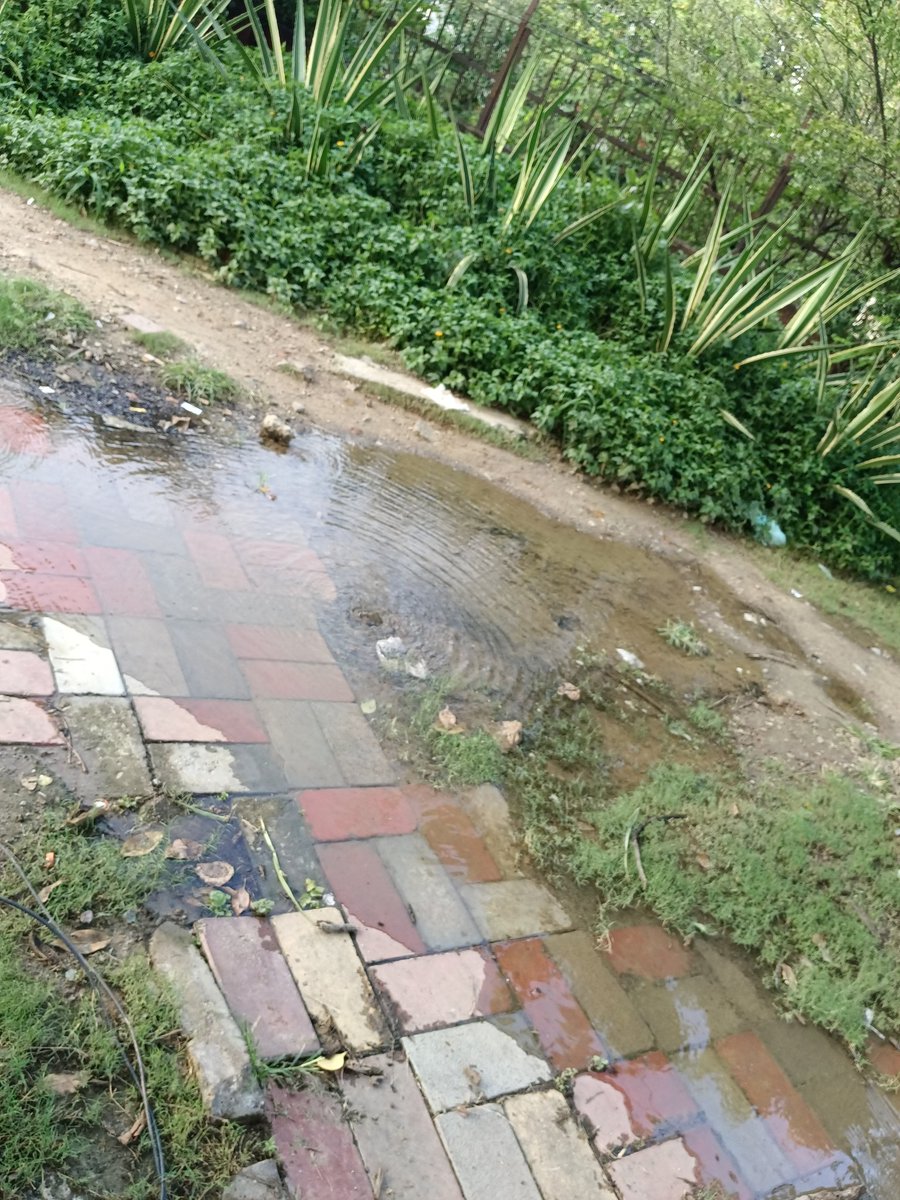imSiddharth_25's tweet photo. @MCD_Delhi 
I am a student of Dyal Singh College, University of Delhi,Lodhi Road. Outside of my college campus there is leakage of fresh water and I think this is the waste of water. We are talking about saving water but no one is reparing the pipeline . https://t.co/Beeno5MNK4