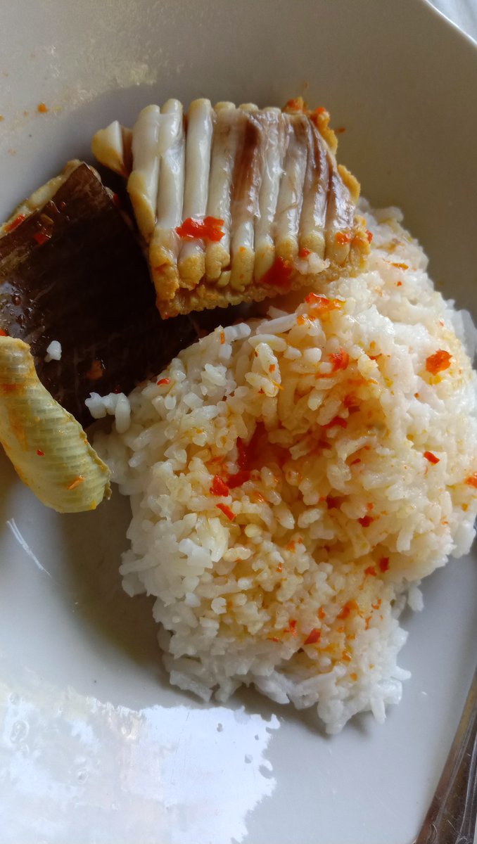 Ikut nahan nafas..lihat pengantin laki laki tadi melafazkan ijab qobul smpi 6 kali baru tembus.

Apa grogi atau gimna y
Pdhl dah senior minimal udah ada pengalaman dulunya

Aku makan lauknya ikan pari ni😇