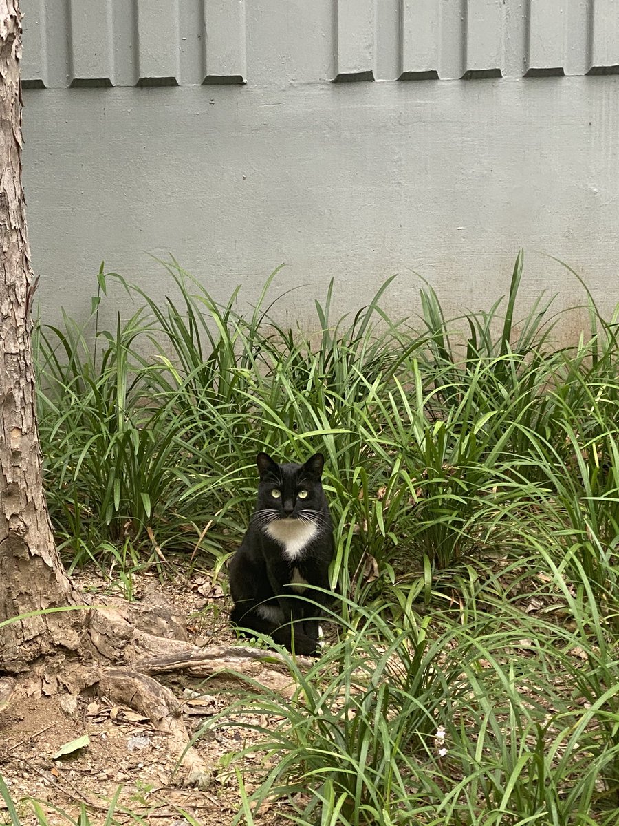 나랑노랑 tweet media