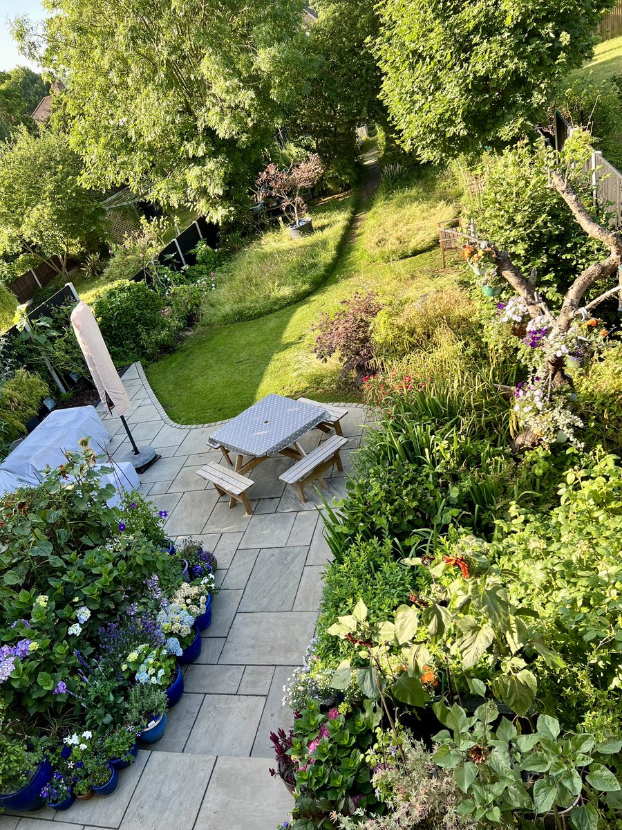 Urbanponds101 tweet media