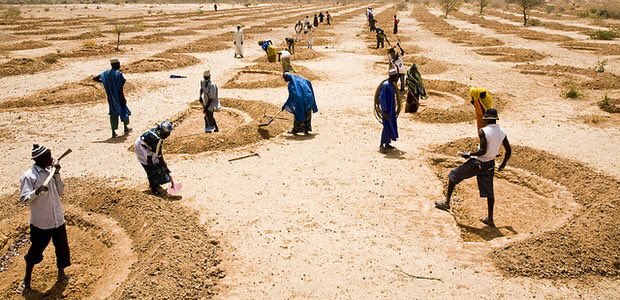 ZongoSamira5's tweet photo. Qu’est ce que la demi-lune??

La demi-lune est une technique agricole qui vise à déblayer la terre de bassins de quelques mètres, pour former des monticules en formes de demi-lunes.

https://t.co/3ryNWcROzB

#techniquederestaurationdesterredegrader https://t.co/APOwTiPrBL