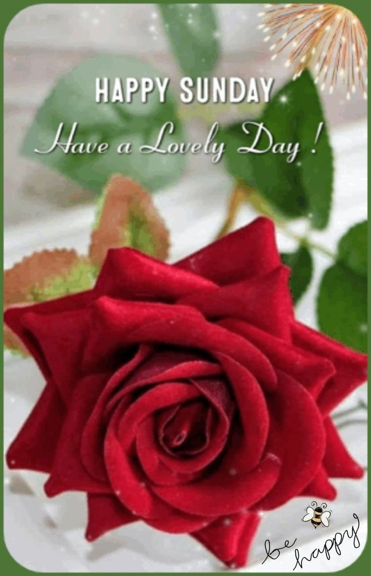 <a href="/scouse_kim/">scouse kim</a> <a href="/scouse_kim/">scouse kim</a> Have a wonderful Sunday Kim 🥰