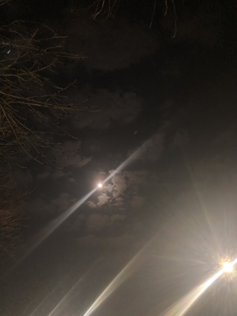 TheLifeOfaGhost's tweet photo. There’s nothing like the peace that night brings https://t.co/wP1Pc3XnZM