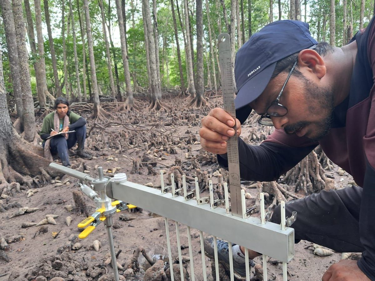 Nehru Prabakaran tweet media