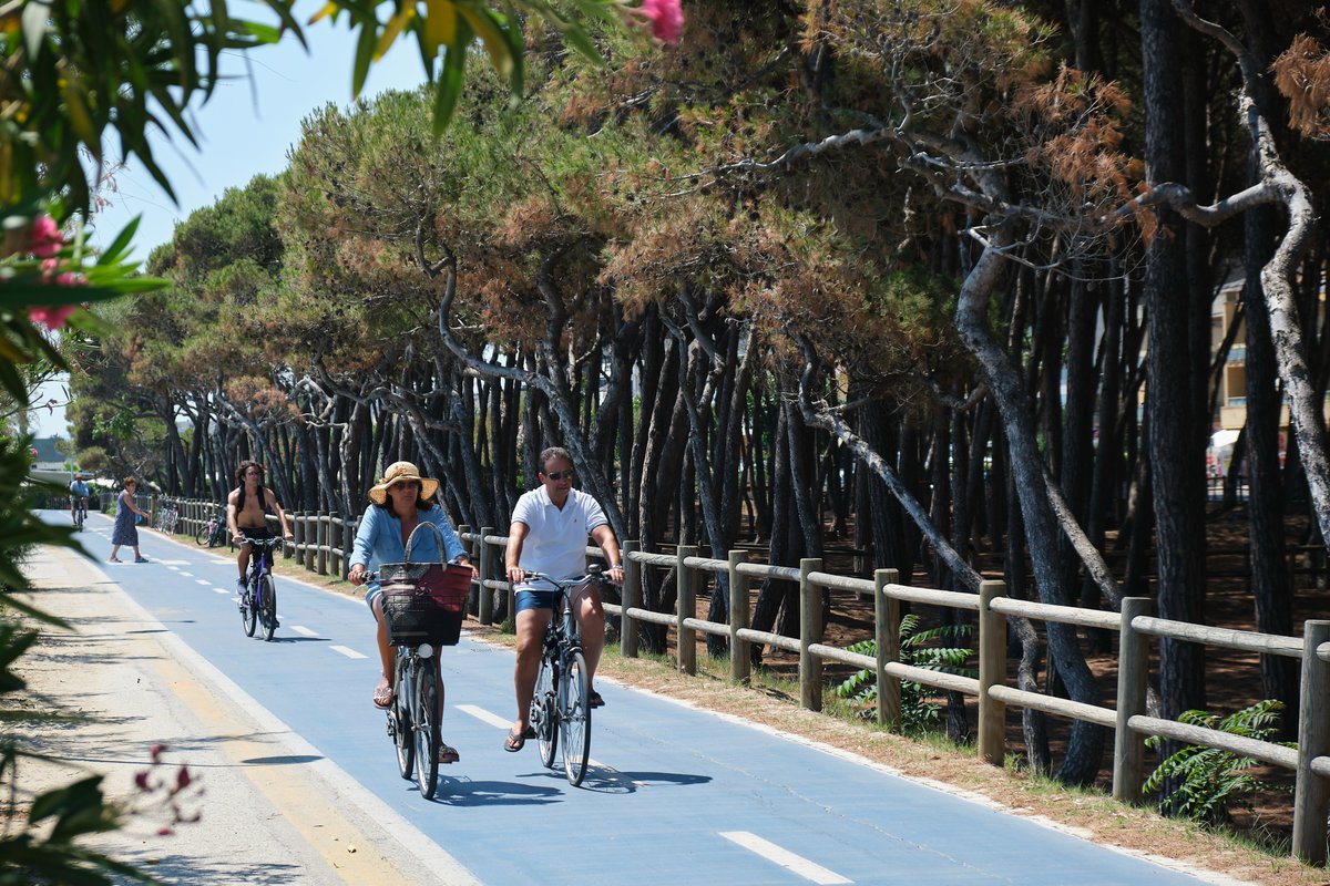 YourAbruzzo's tweet photo. Siete amanti delle due ruote?🚴‍♂️
L’#Abruzzo è la meta ideale per voi, grazie alla presenza di numerosi percorsi cicloturistici. Per raggiungerli potete viaggiare a bordo di treni regionali dotati di carrozze in cui riporre fino a 64 bici.
Cosa aspettate?
👉https://t.co/eE0SC77viP https://t.co/ntdXPmotud