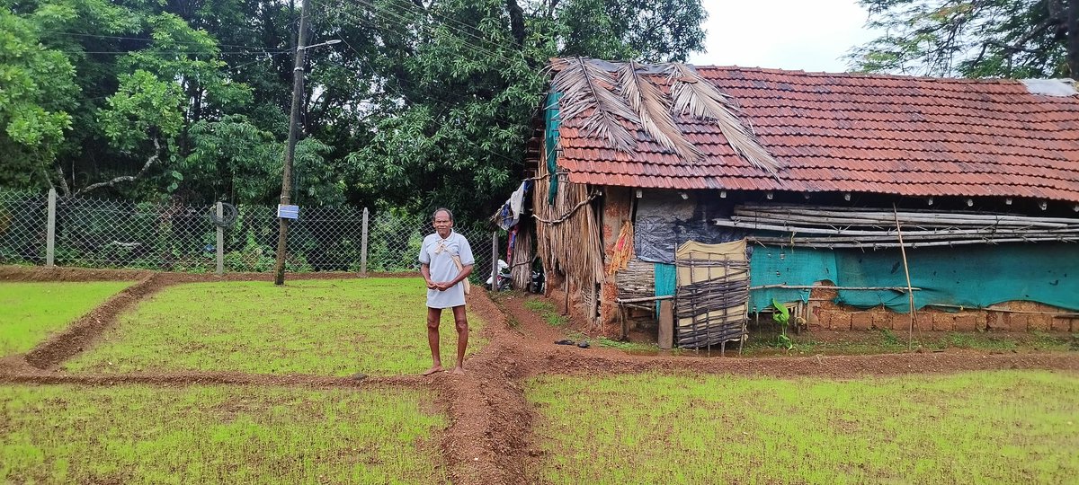 ekpavextra's tweet photo. Truly blessed to be born in Canacoa.
 P.s.: This isn't the other side of Goa, this is Goa. 
#goa #mog #monsooningoa https://t.co/Uyv9QtWdK3