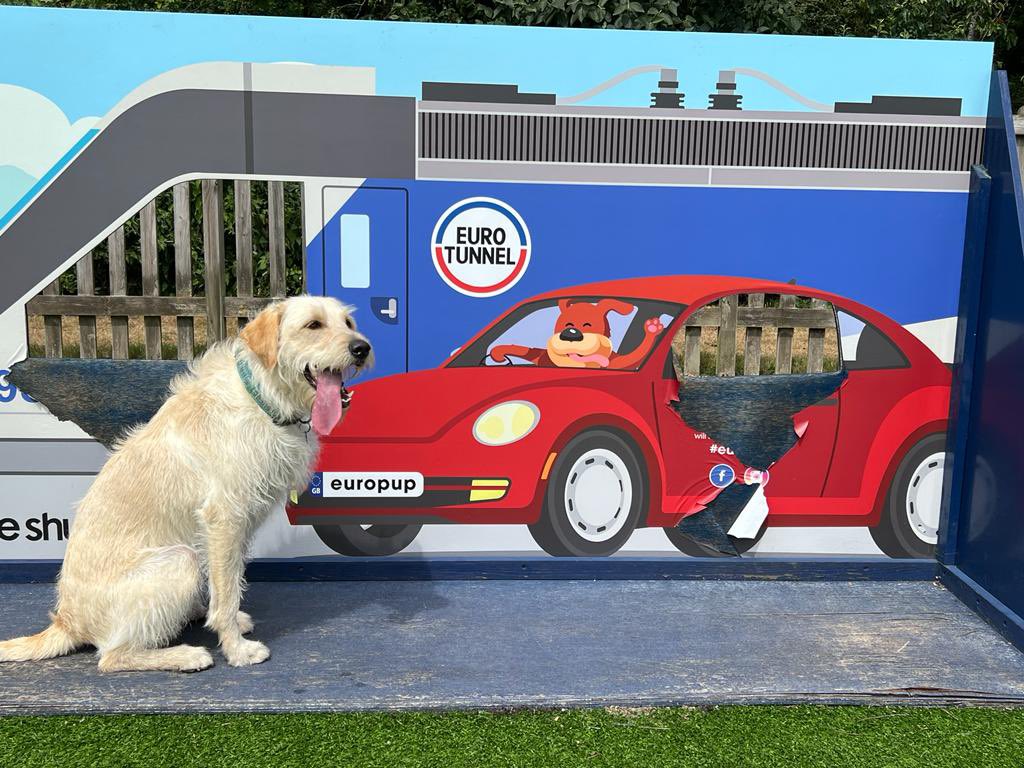 mcgeelorr's tweet photo. @LeShuttle off on another adventure always good 😊 after a wee run around before a long journey through 🇫🇷 #travel #dog #keepexploring https://t.co/3oWdsND0A8