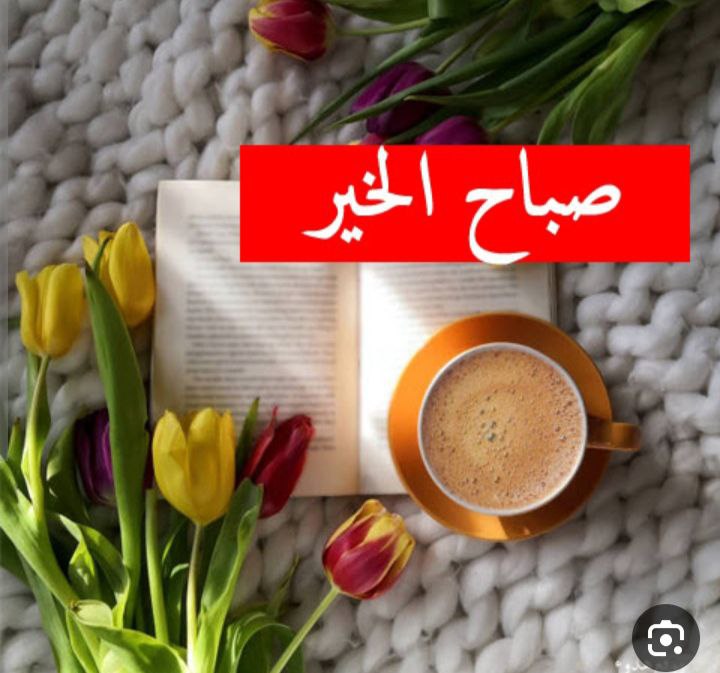 عائشة عطية tweet media
