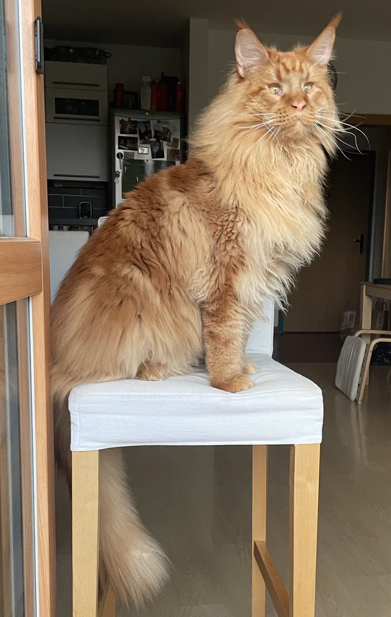 Jakub Szántó tweet media