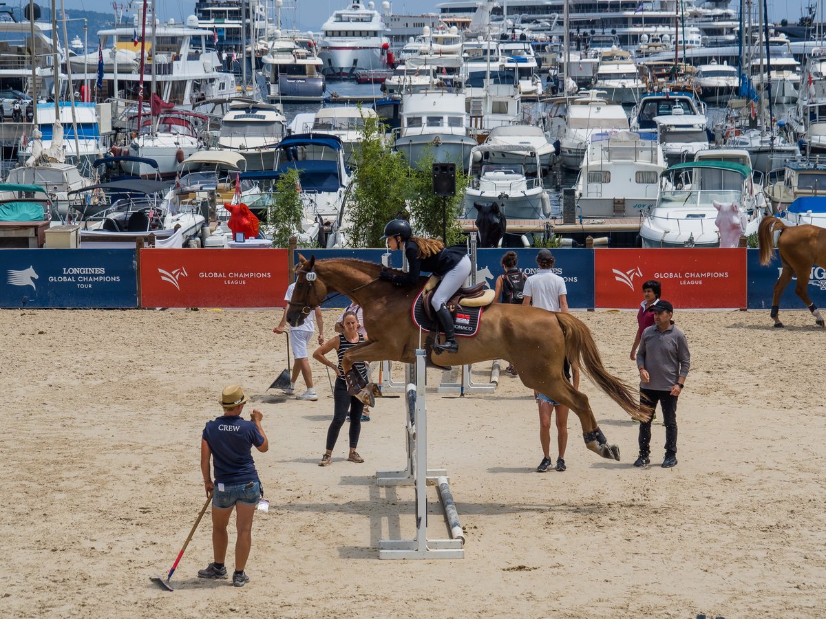 lisaderea's tweet photo. Longines Global Championship Tour in Monaco @jumpingmontecarlo #fineartprints #limitededitionprints #printsforsale #sheclicksnet @VanguardPhotoUK @best_monaco_photos @visitemonaco @monacoinphoto @inside.monaco #horselover #showjumping #longinesglobalchampionstour #jumpingmonaco https://t.co/nlMKp8T9KD