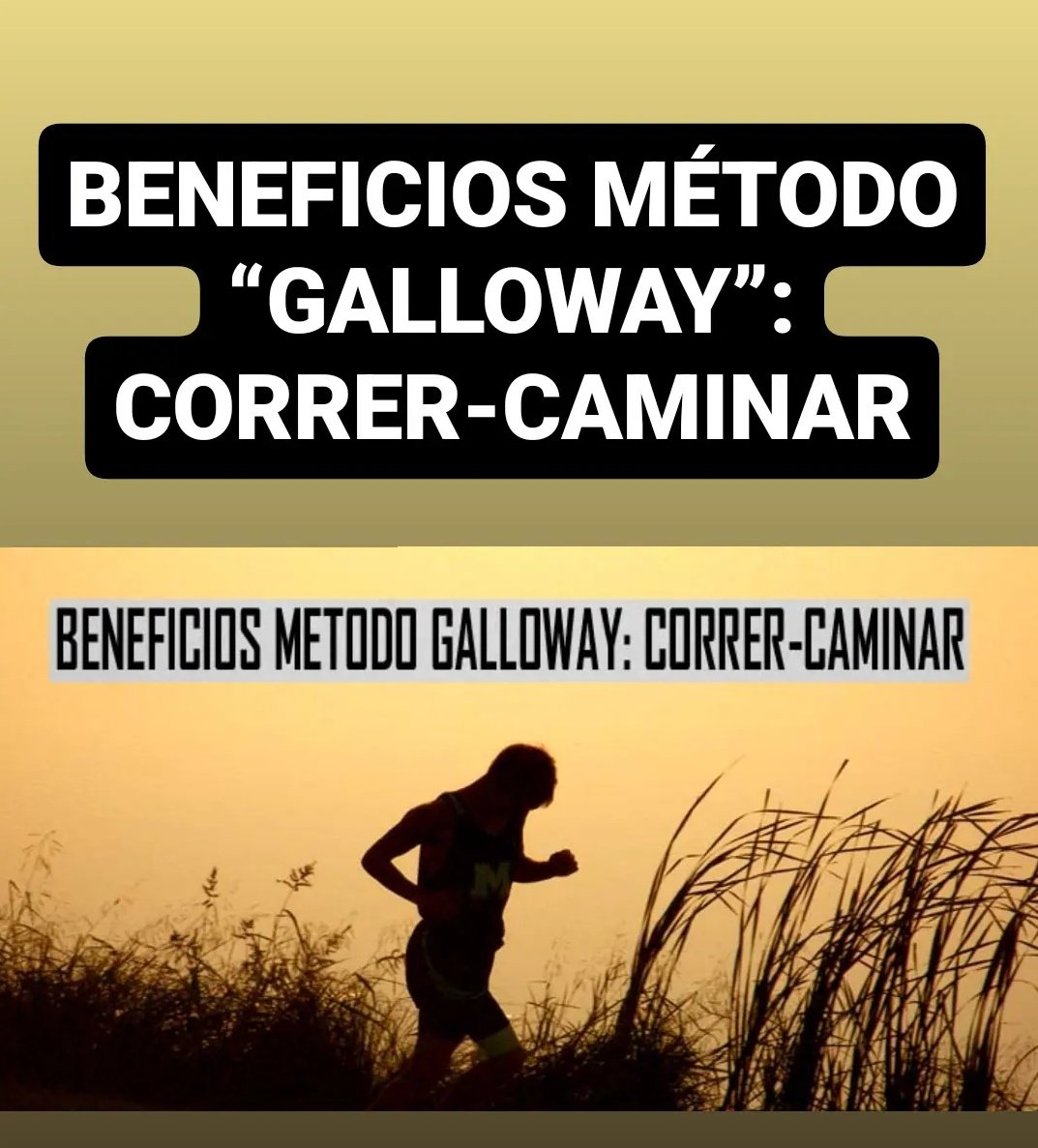 Marathon Ranking tweet media