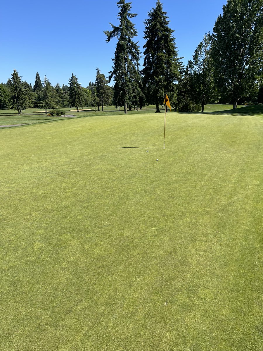 Dschrempf's tweet photo. Tough match today. Matching birdies on a tough par 3! https://t.co/Z0mliOTbsh