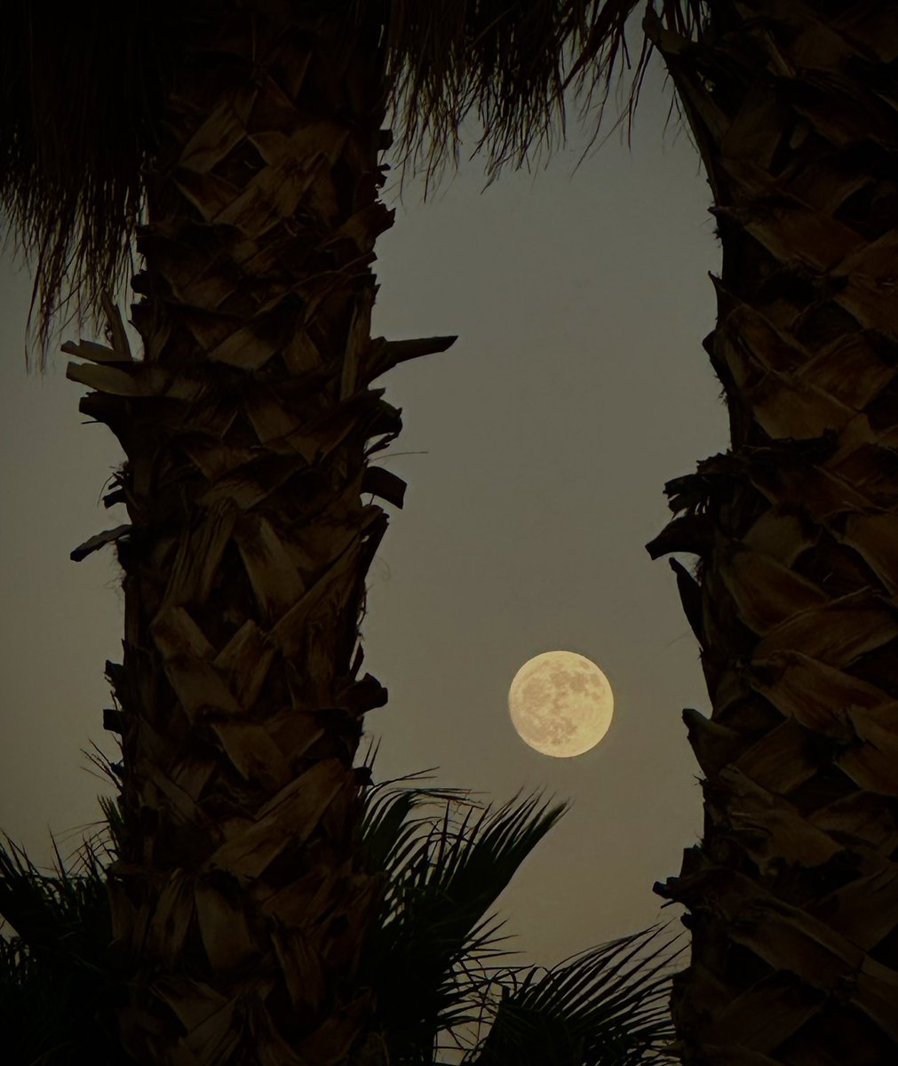 David Becker tweet media