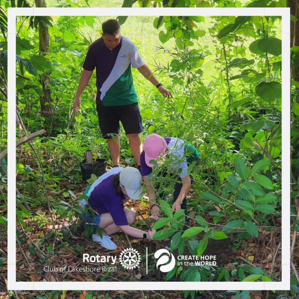 LakeshoreRizal's tweet photo. “When we plant trees, we plant the seeds of peace and seeds of hope.” - Wangari Maathai
RCLR marking the beginning of the new Rotary Year with new life in Brgy. Maybancal, Morong, Rizal 🎋
#HopePope
#CreateHopeInTheWorld
#RotaryCreatesHope
#District3800
#RCLakeshoreRizal https://t.co/PTwocskJi1