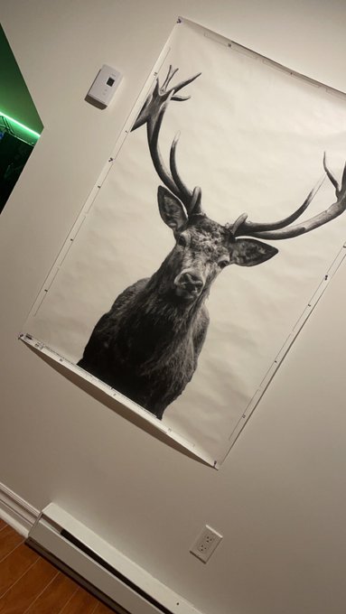 buck:) https://t.co/T7AKJ7pNcS