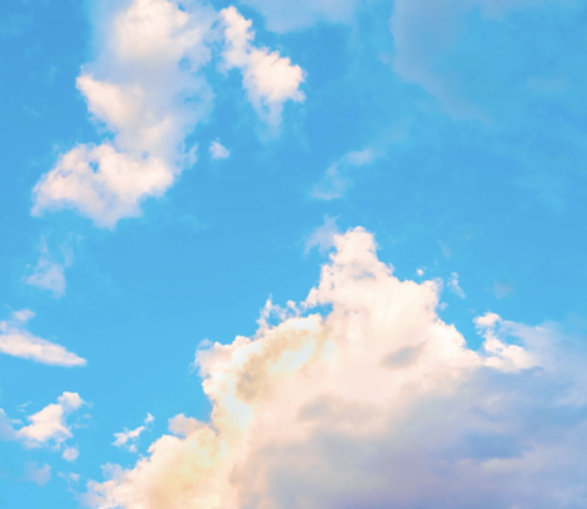 Susan Waycik tweet media