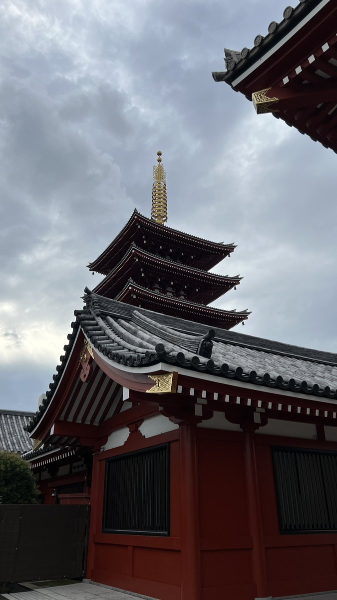 SwgMoh's tweet photo. Tokyo ⛩️ https://t.co/eO3S7AiBIg