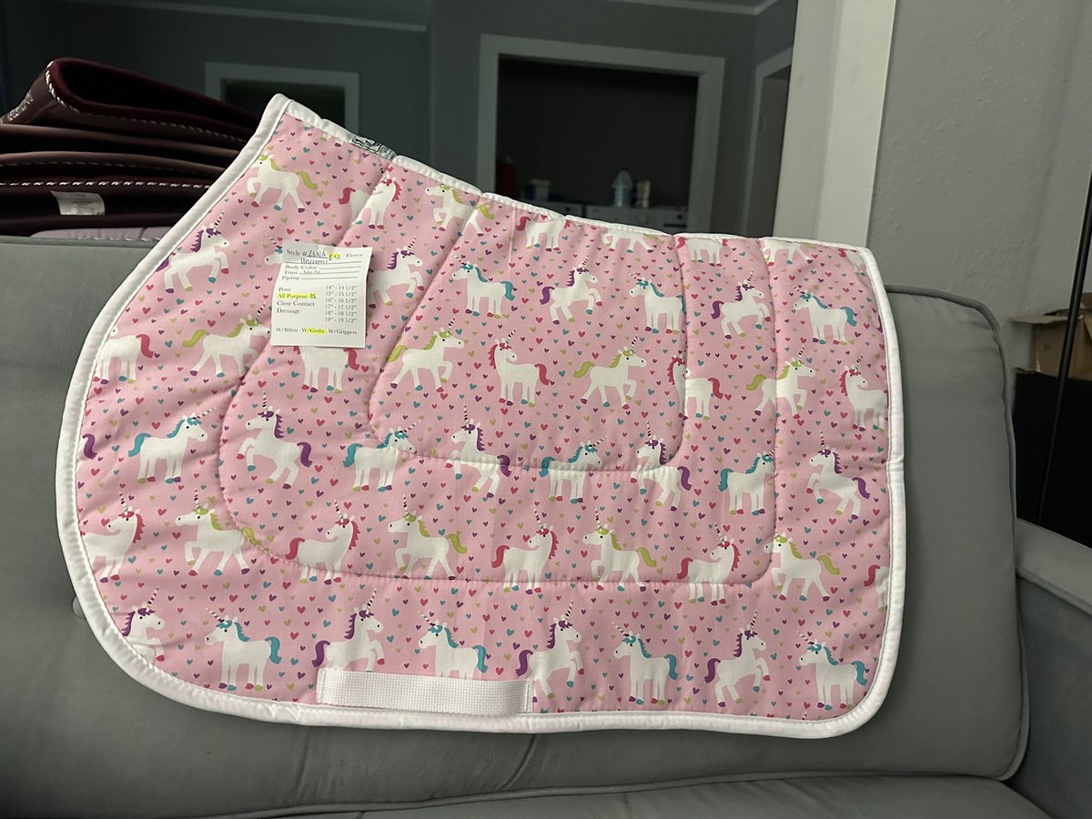 The Chairman of the Tortured Horse Girl Club tweet media