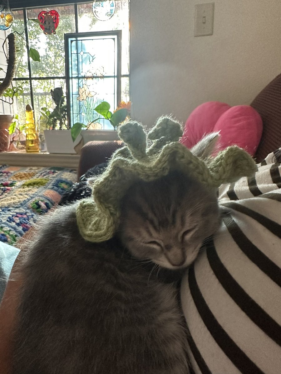 fuzzie ꩜ .ᐟ tweet media