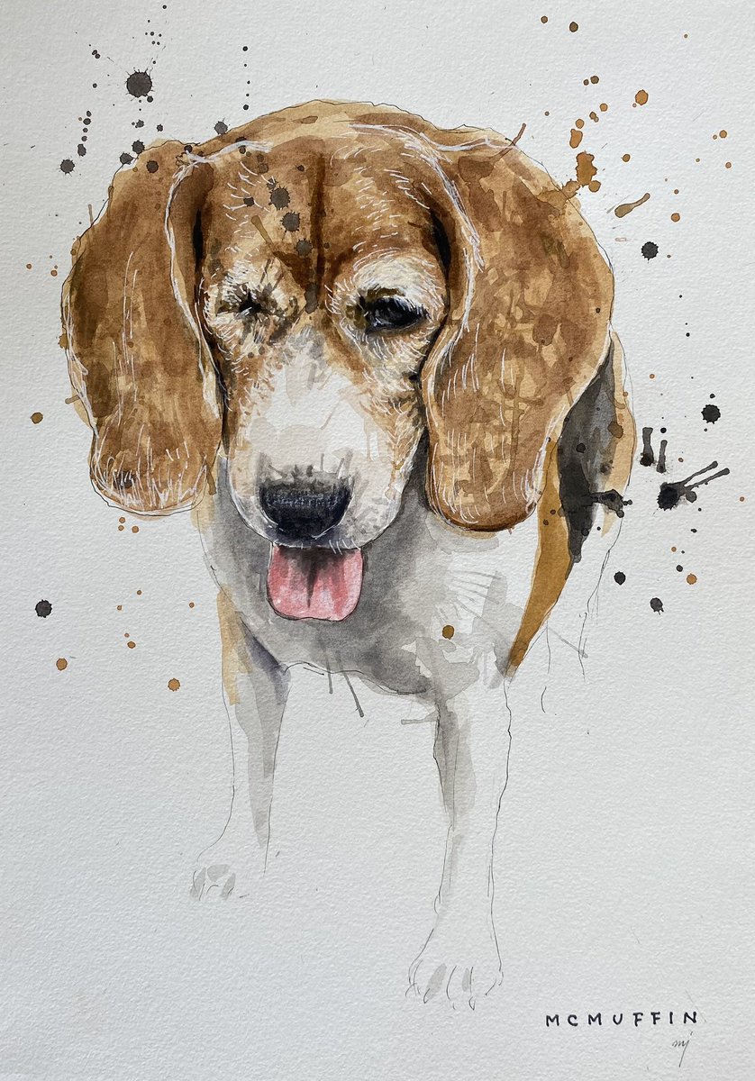 I love McMuffin’s new look
<a href="/NiallHarbison/">Niall Harbison</a> 

#dogart #dogoftwitter #dogportrait 
Instagram @chellejung_draws