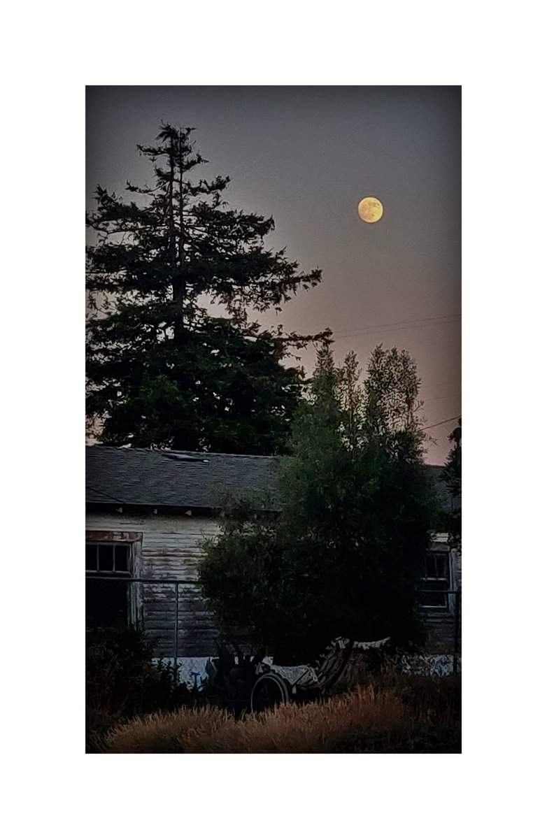 SLO moon.

#SanLuisObispo #SLOparadise #California