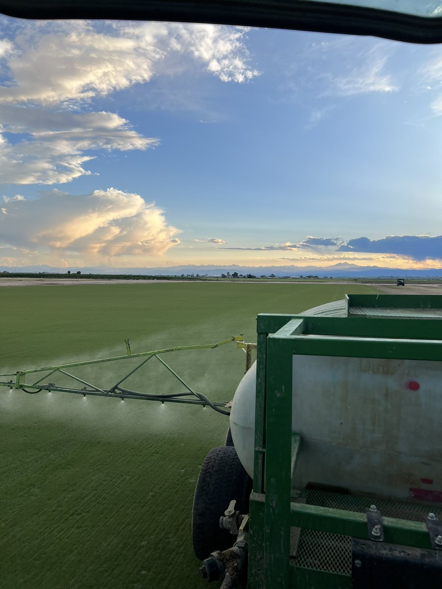 fowler2325's tweet photo. Evening @earthworksturf app to kick off summer. It’s a staple in our grown in program for bentgrass and sports turf production as it warms up. 6oz/K Protein Plus, Trilogy &amp; Cal Vantage. Rotated with granular 5-4-5 Replenish https://t.co/sxph4KYu9j