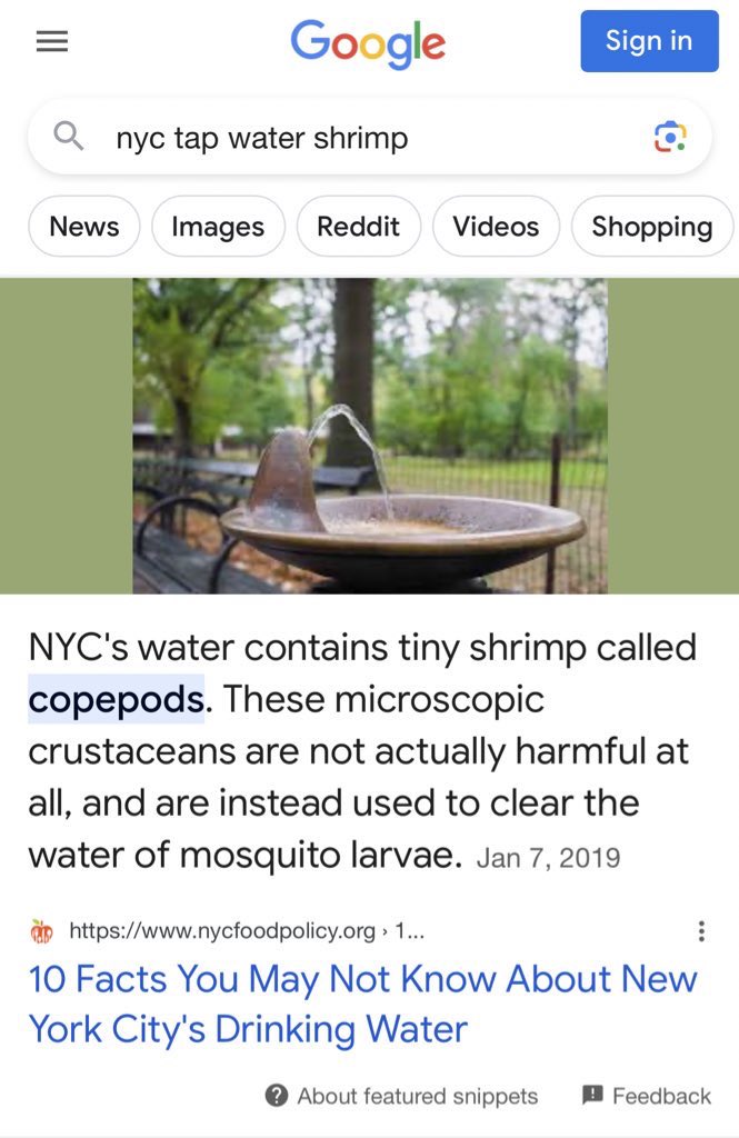 fatfabfeminist's tweet photo. just found out from a tiktok that nyc tap water ISNT KOSHER bc there are microscopic SHRIMP IN IT??? huh?? https://t.co/dRf8SacbuA