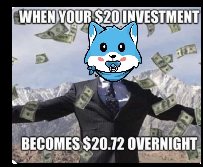 XDOGE_CEO's tweet photo. @babyfrozyinu @babyfrozyinu @1goonrich https://t.co/8KQrULhIq7