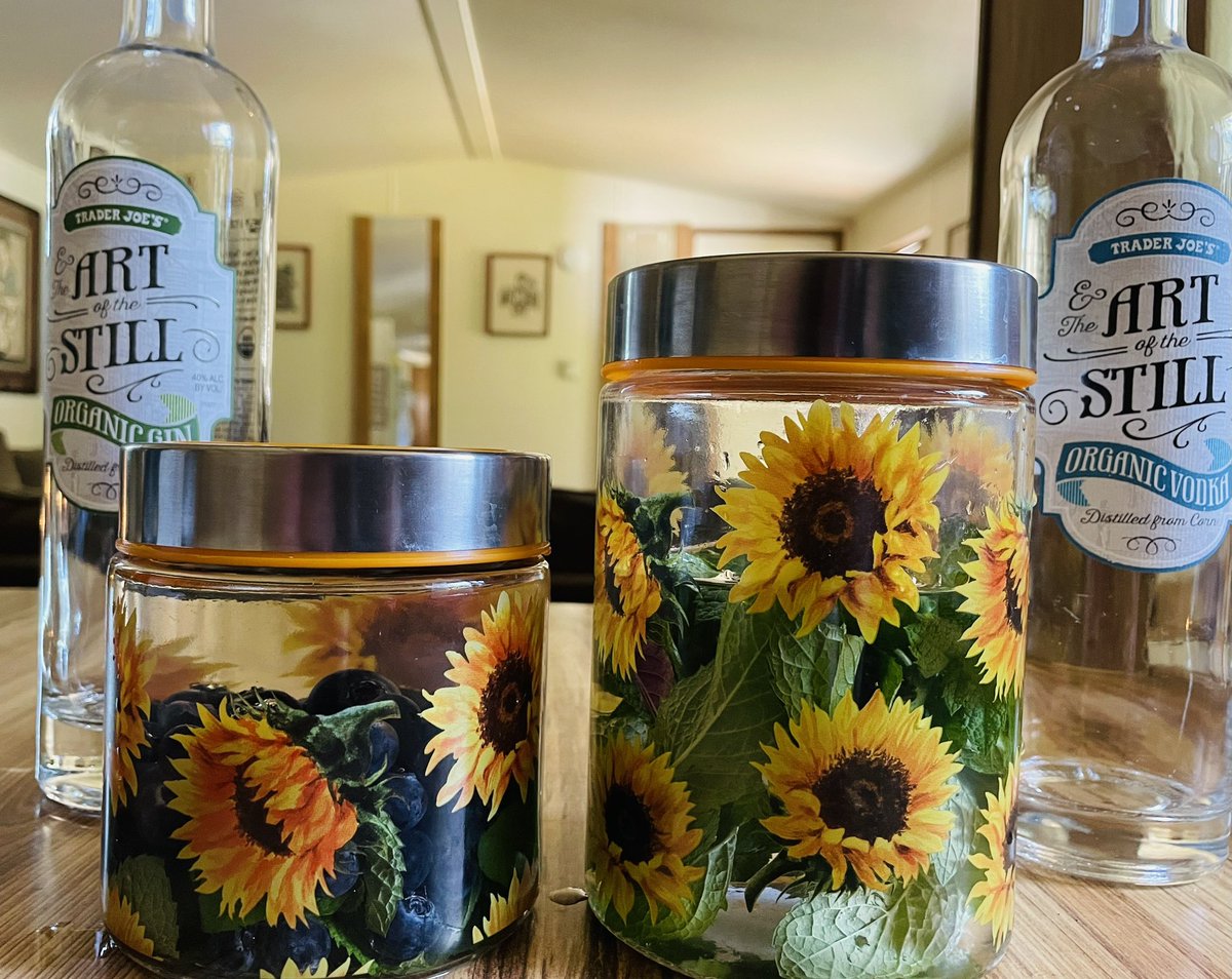 barely92's tweet image. Entering my garden witch era #infusions #homegrown #mint